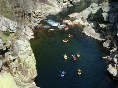Alegria * Arouca